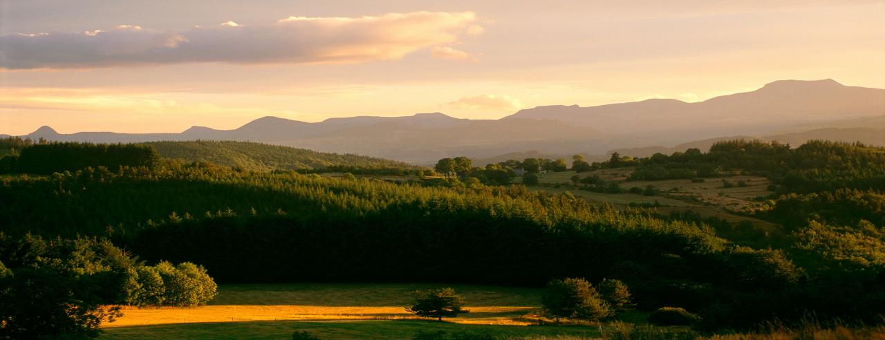 Domaine-de-Rilhac.com - Page d'accueil